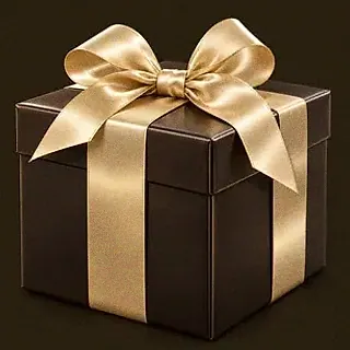 Wrapped gift box — 22King